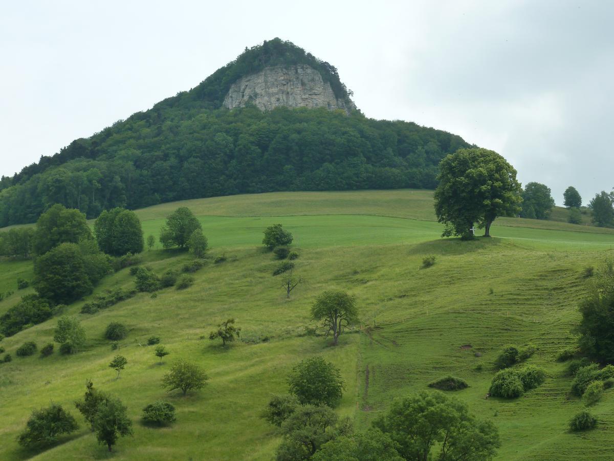 Gasthof Loewen Wisen Esterno foto